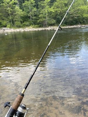 秋季釣魚爲什麼不咬鉤