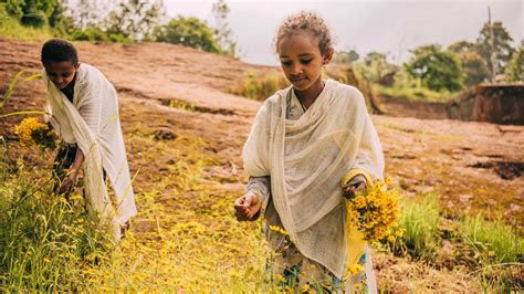  Lễ Ra mắt Thư Viện Quốc Gia Ethiopia: Sự Phục Hồi Tri thức Sau Chế Độ Cộng Sản và Khơi Nguồn cho Sáng tạo Nghệ Thuật